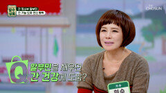 알부민 간 건강 지키고 기력 충전 성공한 현숙의 비결 TV CHOSUN 260218 방송