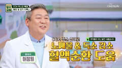 🧃CCA 주스🧃 일상 속 무심코 쌓이는 독소 빼고 혈관 디톡스 성공 TV CHOSUN 260225 방송