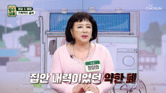 무서운 가족력 폐와 목소리에 더욱 예민한 장미화의 건강 사수 비결 TV CHOSUN 260318 방송