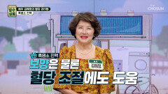 흑염소 진액 당뇨 가족력 극복한 김혜정의 혈당 관리법 TV CHOSUN 260408 방송