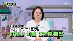 알부민 노폐물 청소하고🧹 영양소를 빠르게 운반해 주는 컨트롤 타워 TV CHOSUN 260415 방송