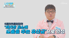 다이어트와 체지방 감소에 도움을 주는 『 BNR17 』 TV CHOSUN 221129 방송