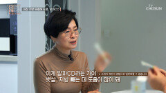 알파CD 내장지방 배출 돕는 중년 다이어트의 첫걸음 TV CHOSUN 251231 방송