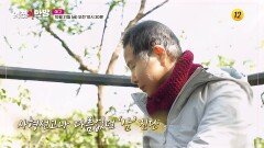 식탁 위 항염의 열쇠 죽음의 불씨를 막아라_역전의 한방 137회 예고 TV CHOSUN 251031 방송