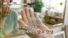 회복력의 힘 되살아나는 모발의 비밀_역전의 한방 146회 예고 TV CHOSUN 260102 방송