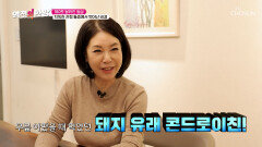 돼지 유래 콘드로이친 무릎 통증에서 벗어나 행복한 노후를 위하여 TV CHOSUN 260327 방송