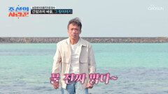 드디어 사랑에 빠진 권호 근데 이제 제주 바다와.. TV CHOSUN 260413 방송