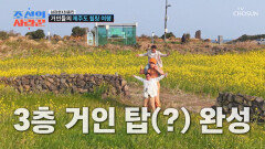봄 내음 가득 유채꽃 뷰 성산일출봉에서 동심으로 돌아간 두 거인과 윤정수 TV CHOSUN 260413 방송