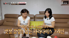 파라다이스 그레인 지방 축적을 막고 에너지 소비를 촉진하는 비만 방지턱 TV CHOSUN 260626 방송