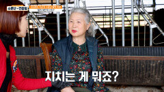 알부민 건강 이상 無 소문난 에너자이저 주인공의 활력 충전 비법 TV CHOSUN 260418 방송