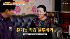 블루베리 염증 타파하고 눈 노화를 늦추는 보랏빛 선물 TV CHOSUN 260425 방송