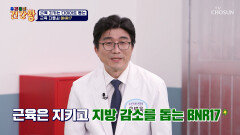 BNR17 지방 DOWN⬇ 근육을 지켜주는 자물쇠 TV CHOSUN 251013 방송