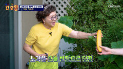 활력 넘치는🤩 김형자의 백세 인생 건강 비결 🥗텃밭 가꾸기🥗 TV CHOSUN 251020 방송