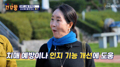 어린 시절 기억과 함께 인지 기능도 살리는 아나운서 윤영미의 회상 여행🤗 TV CHOSUN 251124 방송