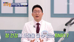 BNR17 유산균 체지방 연소를 돕는 화염 방사기 TV CHOSUN 251229 방송