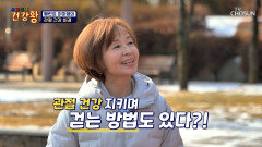 반려견과 함께하는 이미영의 관절 건강 지키며 산책하는 방법 TV CHOSUN 260302 방송