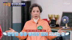 포사인 콘드로이친 체내 흡수율 UP 관절 염증 잡는 저격수 TV CHOSUN 260330 방송