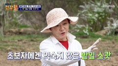 자연친화적인 배연정의 일상‍ 유기농 텃밭에서 시작하는 밭일 스쾃 TV CHOSUN 260511 방송