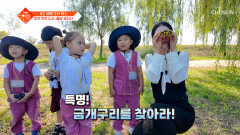 멸종 위기 금개구리를 볼 수 있는 가을 힐링 여행지 당진 200% 즐기는 방법 TV CHOSUN 250923 방송