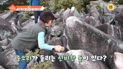 슬기로운 아침 99회 예고 TV CHOSUN 2501028 방송