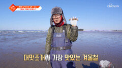 추운 겨울 바다가 주는 보물 쫄깃하고 담백한 대맛조개🦪 TV CHOSUN 260120 방송