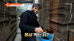 5성급 호텔 부럽지 않은 초고급 양계장 특별한 유정란의 비밀🤫🥚 TV CHOSUN 260224 방송