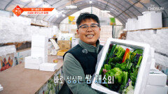 쏙쏙 골라 먹는 재미🥬 20가지 이상의 쌈 채소를 한 번에⁉ TV CHOSUN 260303 방송