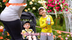 장관이네요 절경이고요 초록빛 가득한 힐링 명소 서울국제정원박람회 TV CHOSUN 260512 방송