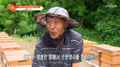 자연이 준 선물 꿀벌과 양봉 부부가 만들어낸 황금빛 로열젤리 TV CHOSUN 260616 방송