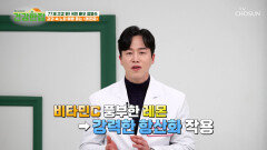 레몬즙 노화 독소 막고 나이를 거꾸로 먹는 항산화 비결 TV CHOSUN 241231 방송