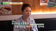 와사비잎 추출물 지방을 활활 태워 체질 바꾸기 성공 TV CHOSUN 251021 방송