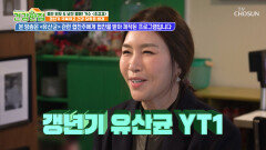 갱년기 유산균 YT1 여성호르몬과 활력 충전하는 조갑경의 건강 습관 TV CHOSUN 260113 방송