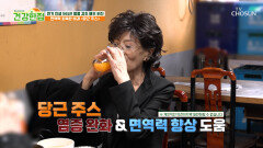 배우 허진의 면역력 지킴이 🥕당근 주스🥕 미세염증 잡고 소화불량 안녕 TV CHOSUN 260203 방송