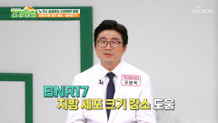 🤍BNR17🤍 건강하고 꾸준한 다이어트를 위한 체지방 관리 비법 TV CHOSUN 260210 방송