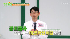 클로렐라 체내 쌓인 독성물질 청소하고🧽 면역 시스템 재정비하는 비결️ TV CHOSUN 260609 방송