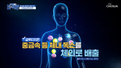노화와 질병 예방을 돕는 리포좀 글루타치온 TV CHOSUN 240611 방송