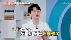 요요 현상 없이 체중 관리를 돕는 BNR17 TV CHOSUN 241031 방송