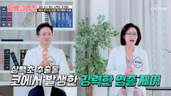 삼백초 추출물 염증 억제하고⬇ 상쾌하게 숨 쉬는 비결 TV CHOSUN 251225 방송