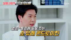 소 유래 콘드로이친 통증은 줄이고⬇ 관절은 부드럽게 하는 비결 TV CHOSUN 260226 방송