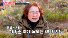 고통스러운 소화불량 좋아하는 봄 피크닉에서 즐기지 못하는 도시락 TV CHOSUN 260409 방송