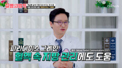 🤎파라다이스 그레인🤎 지방 활활 태우는 나만의 다이어트 도우미 TV CHOSUN 260416 방송