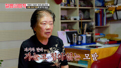 휑해진 정수리 줄어드는 머리카락에⬇ 늘어나는 스트레스🤯 TV CHOSUN 260423 방송