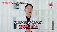 카무트 효소 음식물 분해력 UP⬆ 소화력 챙기면서 하는 다이어트 TV CHOSUN 260430 방송