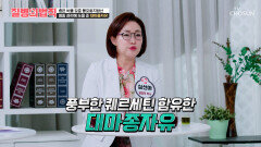 대마종자유 뇌혈관 속 나쁜 단백질 제거에 도움을 주는 뇌 건강 치트키 TV CHOSUN 260625 방송