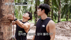 맨손으로 13m 나무를? 기상천외한 첫 번째 미션 TV CHOSUN 241007 방송