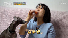알부민 활력 끌어올리고 세월까지 역주행 성공 TV CHOSUN 260208 방송