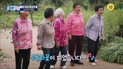 역대급 종종걸음 어르신의 등장_유랑닥터 33회 예고 TV CHOSUN 251018 방송