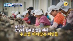 전국 팔도 밥상에 올라갈 굴을 위해 수고를 마다않는 어민들_유랑닥터 39회 예고 TV CHOSUN 251129 방송