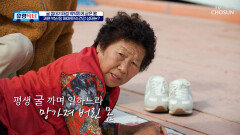 굴 따기 중독 결국 몸에 건강 이상이 온 봉전마을 어르신들 TV CHOSUN 251129 방송