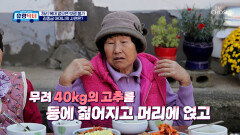생계를 위해 일만 하다 굽어버린 어머니의 심각한 허리 통증 TV CHOSUN 251206 방송